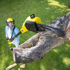 Best Lawn Grading and Leveling  in Dumbarton, VA