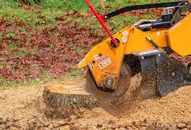 Best Tree Mulching  in Dumbarton, VA