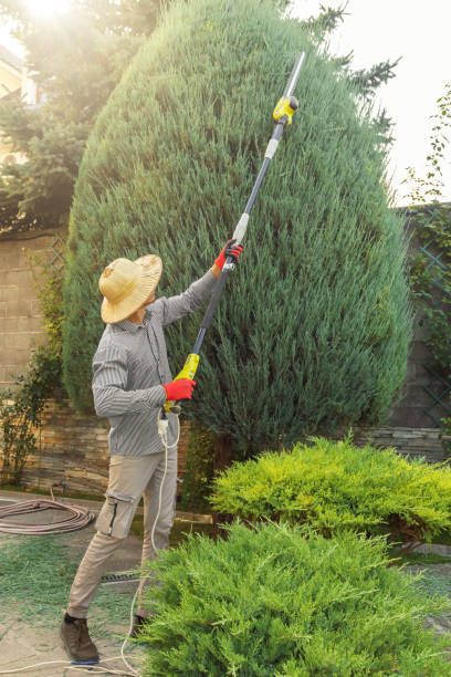 Best Lawn Pest Prevention  in Dumbarton, VA